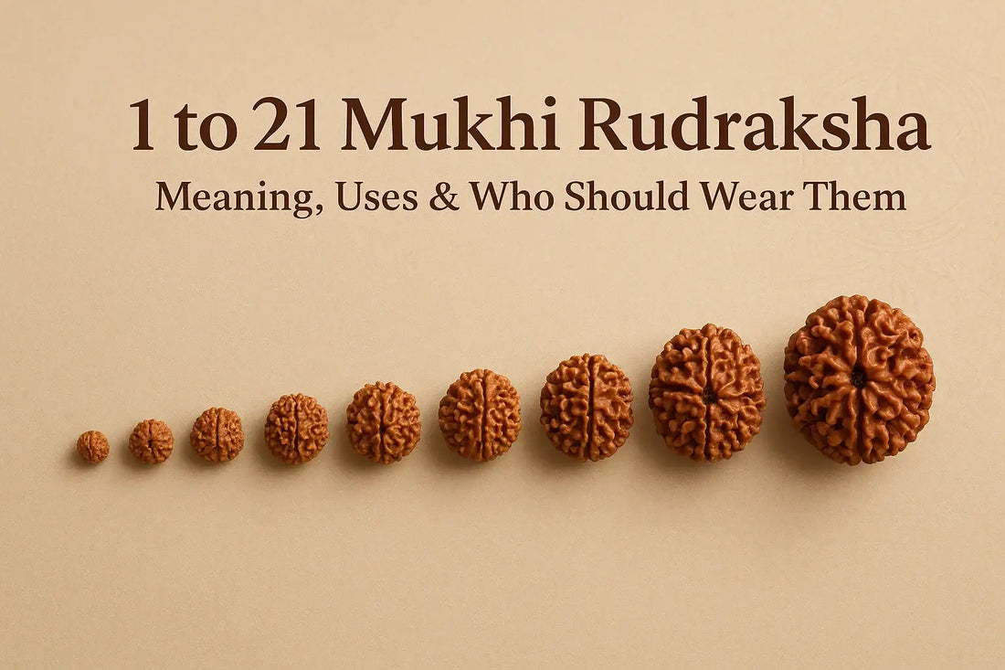 1 to 21 Mukhi Rudraksha: Meaning, Uses & Who Should Wear Them