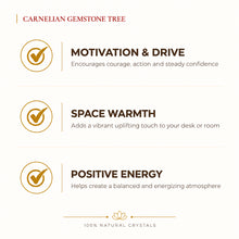 Load image into Gallery viewer, Natural Carnelian crystal tree by Evashu Crystals - view 2 - 02 evashu carnelian crystal tree benefits