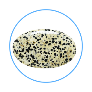 Dalmatian Jasper