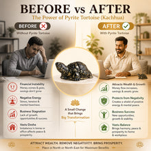 Load image into Gallery viewer, Pyrite Tortoise (Kachua) for Wealth, Business Growth & Energy Protection | Powerful Vastu Remedy for Office & Desk
