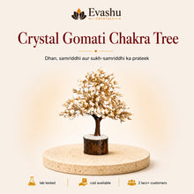 Load image into Gallery viewer, Authentic natural Gomati Chakra Crystal Tree for Prosperity and Spiritual Protection, shown as the main Evashu product view