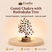 Certified Natural Gomti Chakra Crystal Tree - Sacred Protection & Household Prosperity