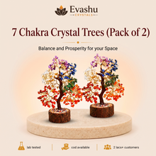 Load image into Gallery viewer, Authentic natural Seven Chakra Crystal Tree Pack for Premium Décor and Double Healing, shown as the main Evashu product view