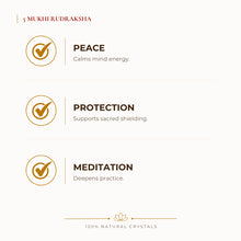 Load image into Gallery viewer, 5 Mukhi Rudraksha benefits for calm mind and stress relief, explained in an Evashu natural-crystal guide
