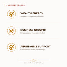 Load image into Gallery viewer, 7 Mukhi Rudraksha benefits for wealth attraction and prosperity intention, explained in an Evashu natural-crystal guide