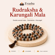 Load image into Gallery viewer, Authentic natural Rudraksha & Karungali Mala for Spiritual Wisdom and Daily Positivity, shown as the main Evashu product view