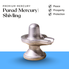 Load image into Gallery viewer, Premium Parad Mercury Shivling displayed in a clean setting, representing peace, prosperity, and protection.
