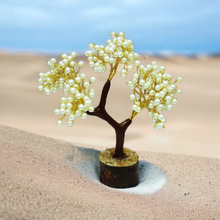 Load image into Gallery viewer, Natural Pearl Tree – Inner Peace & Emotional Healing | Perfect Showpiece for Housewarming, Diwali & Gifting - Scale Reference | Natural Crystal Ring for Wealth & Abundance