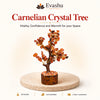 Natural Carnelian crystal tree by Evashu Crystals - view 1 - 01 evashu carnelian crystal tree hero
