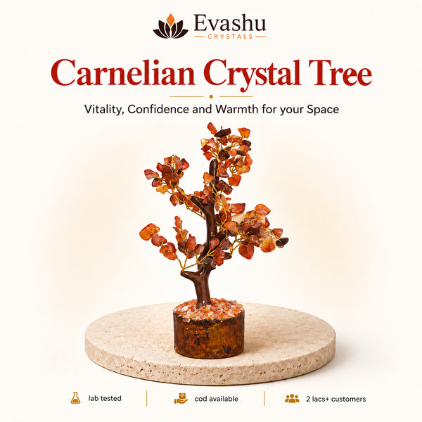 Natural Carnelian crystal tree by Evashu Crystals - view 1 - 01 evashu carnelian crystal tree hero