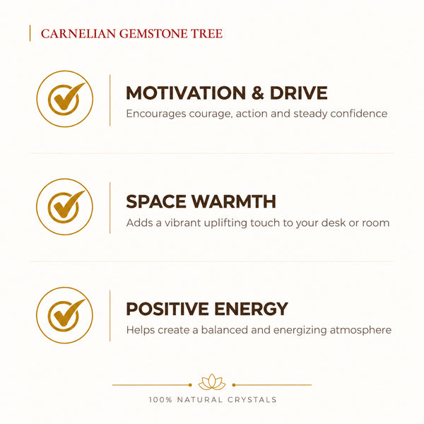 Natural Carnelian crystal tree by Evashu Crystals - view 2 - 02 evashu carnelian crystal tree benefits
