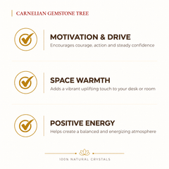Natural Carnelian crystal tree by Evashu Crystals - view 2 - 02 evashu carnelian crystal tree benefits