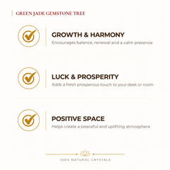 Natural Green Jade crystal tree by Evashu Crystals - view 2 - 02 evashu green jade crystal tree benefits