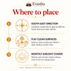Natural Carnelian crystal tree by Evashu Crystals - view 3 - 03 evashu carnelian crystal tree placement guide