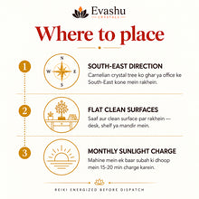 Load image into Gallery viewer, Natural Carnelian crystal tree by Evashu Crystals - view 3 - 03 evashu carnelian crystal tree placement guide

