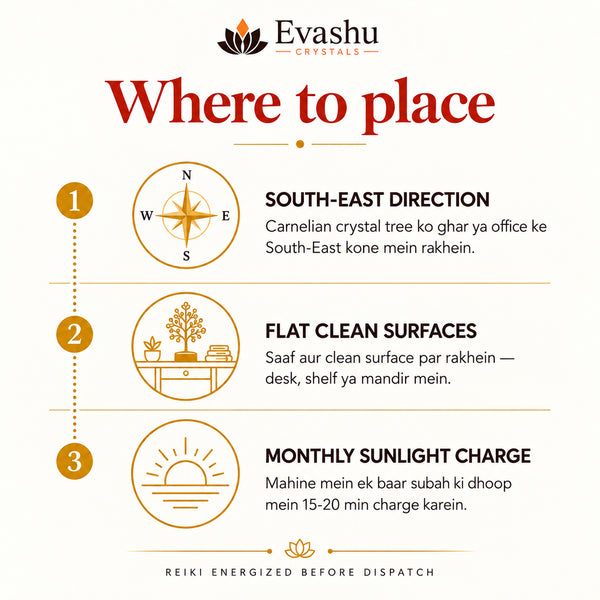 Natural Carnelian crystal tree by Evashu Crystals - view 3 - 03 evashu carnelian crystal tree placement guide