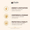 Aries / Mesh Rashi Bracelet benefits – courage, initiative and confidence; motivation, focus and forward movement