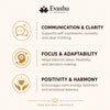 Gemini / Mithun Rashi Bracelet benefits – communication, clarity and adaptability; focus, curiosity and confident expression