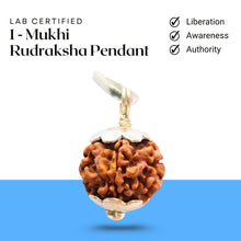Load image into Gallery viewer, 1 Mukhi Rudraksha pendant with silver cap and chain displayed on a clean white background.

