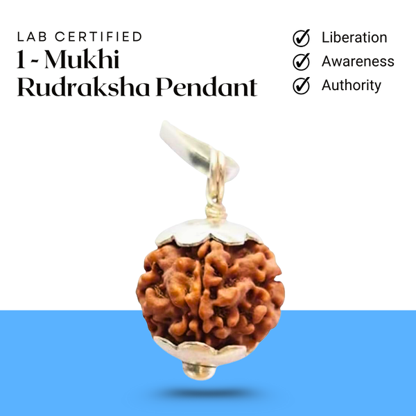 1 Mukhi Rudraksha pendant with silver cap and chain displayed on a clean white background.