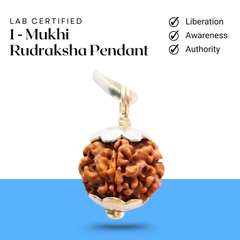 1 Mukhi Rudraksha pendant with silver cap and chain displayed on a clean white background.