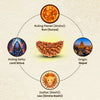 Lab-certified 1-Mukhi Rudraksha associated with Lord Shiva and Surya, ideal for Leo zodiac, promoting prosperity, health.