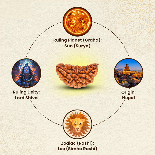 Lab-certified 1-Mukhi Rudraksha associated with Lord Shiva and Surya, ideal for Leo zodiac, promoting prosperity, health.