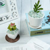 Blue green amazonite crystal chips stone decorative use