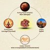Rudraksha 3 Mukhi – Symbol of Purification, Confidence, and Inner Strength – Suitable for Unisex