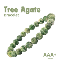 Close-up of Tree Agate bracelet showing intricate details and natural Tree Agate stone.