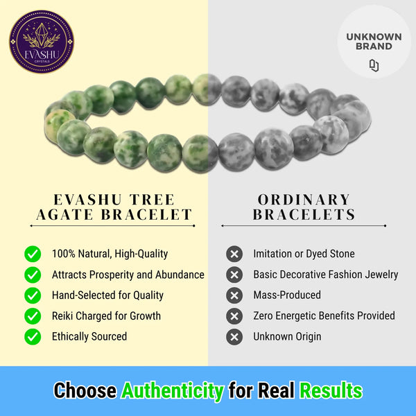 Tree Agate Healing Crystal Bracelet – Grounding Energy, Inner Peace & Spiritual Strength | Unisex Crystal Jewelry