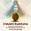 2 Mukhi Rudraksha with Om Shiva energy, symbolizing harmony and balance