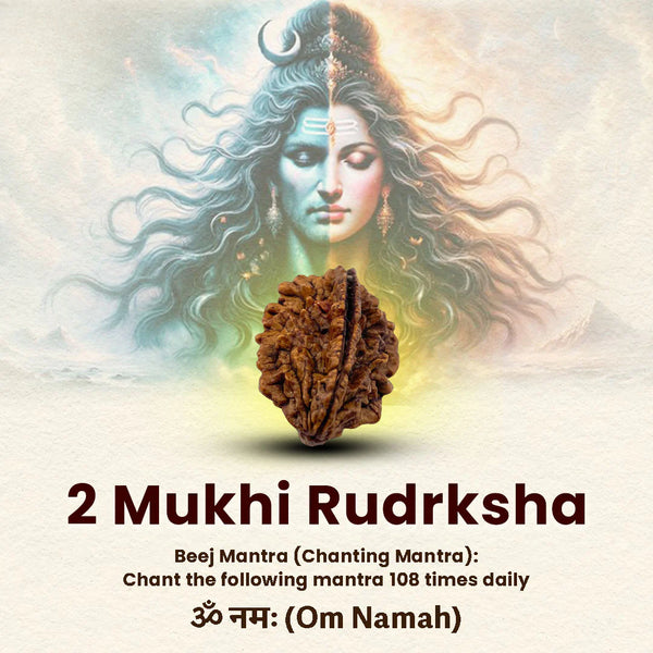 2 Mukhi Rudraksha with Om Shiva energy, symbolizing harmony and balance