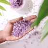 Amethyst Chips Stone – Symbol of Serenity, Wisdom, and Spiritual Protection – Perfect for Decoration