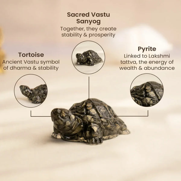 Pyrite Tortoise (Kachua) for Wealth, Business Growth & Energy Protection | Powerful Vastu Remedy for Office & Desk