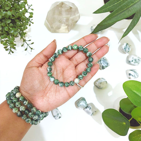 A collection of Tree Agate bracelet showcasing different styles and sizes along with their Tree Agate bracelet benefits.