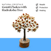 Gomati Chakra with Rudraksha Tree – 100 Beads | Positive Energy, Good Luck & Spiritual Growth for Home Décor