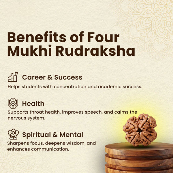 Four Mukhi Rudraksha bead symbolically connected to wisdom, academic focus, and balanced expression.