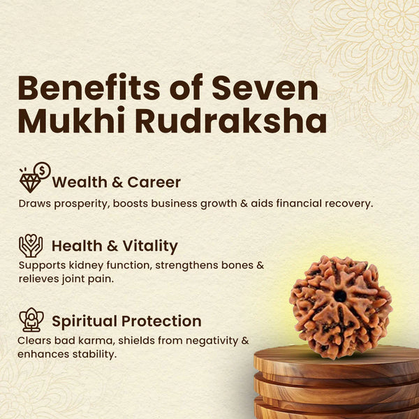 Illustration of 7 Mukhi Rudraksha benefits for health, protection, and spiritual growth.