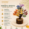 Seven Chakra Gemstone Tree – Natural Crystal Tree for Positivity, Balance & Spiritual Home Décor | 150 Beads Healing Tree