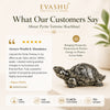 Pyrite Tortoise (Kachua) for Wealth, Business Growth & Energy Protection | Powerful Vastu Remedy for Office & Desk
