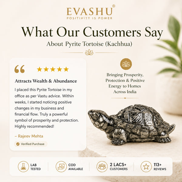 Pyrite Tortoise (Kachua) for Wealth, Business Growth & Energy Protection | Powerful Vastu Remedy for Office & Desk