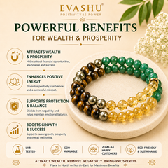 Pack of 2 Money Magnet Crystal Bracelets – Natural Wealth & Prosperity Bracelets for Daily Wear | Unisex Adjustable Crystal Jewellery