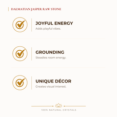 Certified Natural Dalmatian Jasper Raw Stone - Joyful Energy & Grounding | Buy Online - Image 2