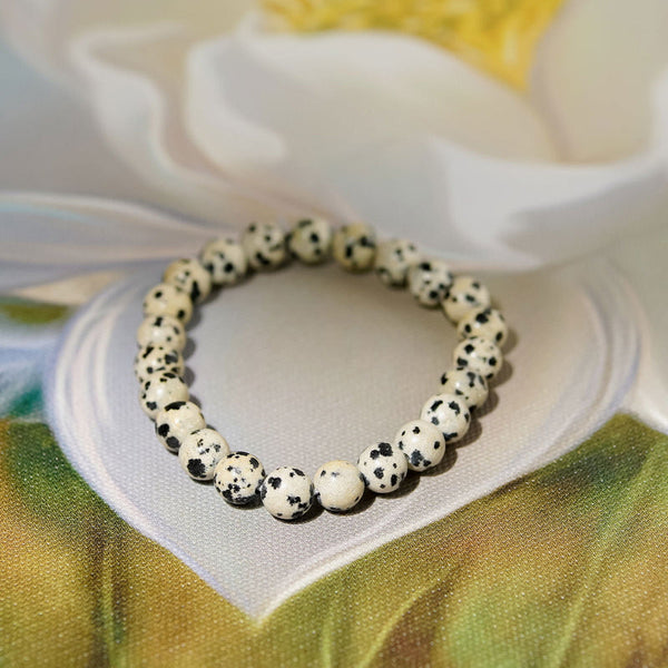 A collection of Dalmation Jasper bracelet showcasing different styles and sizes along with their Dalmation Jasper bracelet benefits.