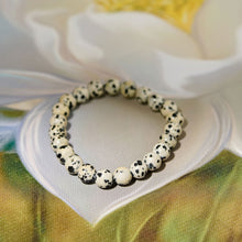 Load image into Gallery viewer, A collection of Dalmation Jasper bracelet showcasing different styles and sizes along with their Dalmation Jasper bracelet benefits.
