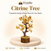 Certified Natural Citrine Crystal Tree - Wealth Attraction & Success | Buy Online
