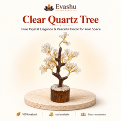 Evashu Certified Natural Clear Quartz Crystal Tree - Energy Amplification & Healing | Buy Online – product image 1