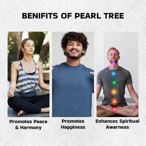Natural Pearl Tree – Inner Peace & Emotional Healing | Perfect Showpiece for Housewarming, Diwali & Gifting