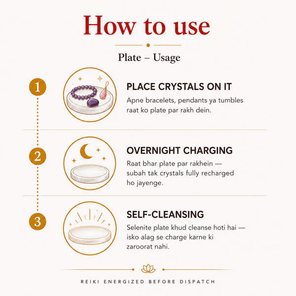 EVASHU_HOWTO:Plate – Usage
